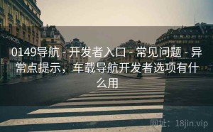 0149导航 - 开发者入口 - 常见问题 - 异常点提示，车载导航开发者选项有什么用