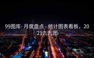 99图库- 月度盘点 - 统计图表看板，2021九九图