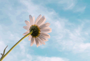 0149导航 - 开发者入口 - 常见问题 - 异常点提示，车载导航开发者选项有什么用