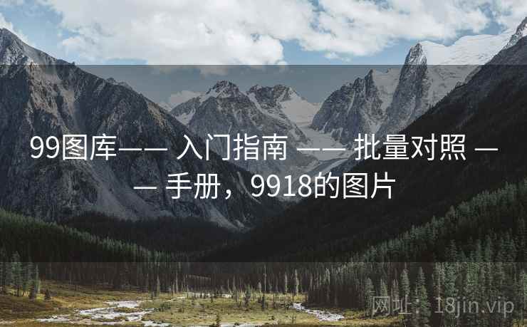 99图库—— 入门指南 —— 批量对照 —— 手册，9918的图片