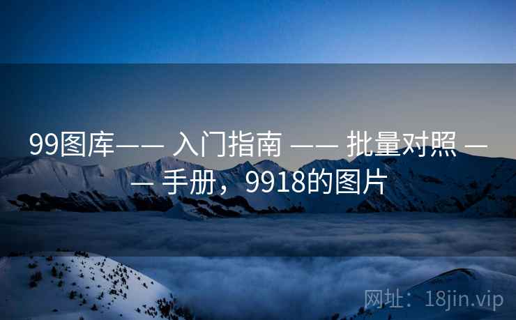 99图库—— 入门指南 —— 批量对照 —— 手册，9918的图片