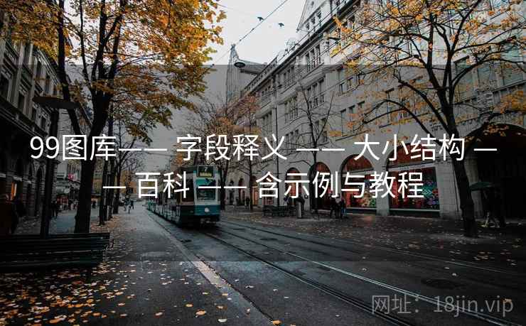 99图库—— 字段释义 —— 大小结构 —— 百科 —— 含示例与教程