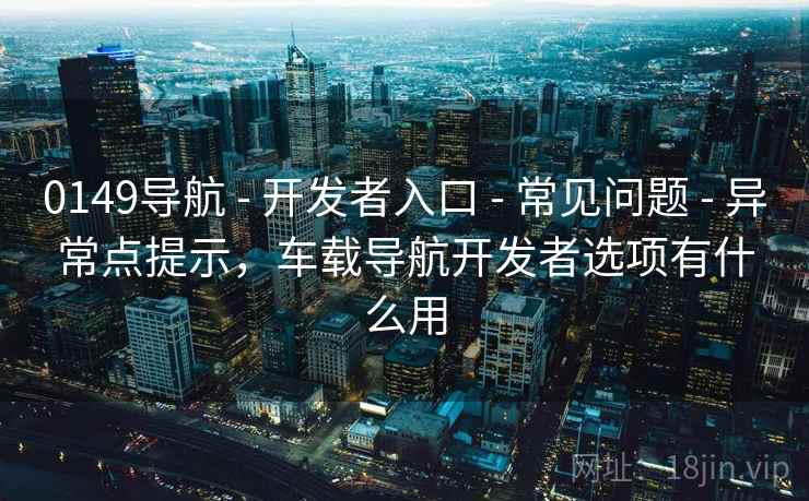0149导航 - 开发者入口 - 常见问题 - 异常点提示,车载导航开发者选项有什么用 0149导航 - 开发者入口 - 常见问题 - 异常点提示,车载导航开发者选项有什么用