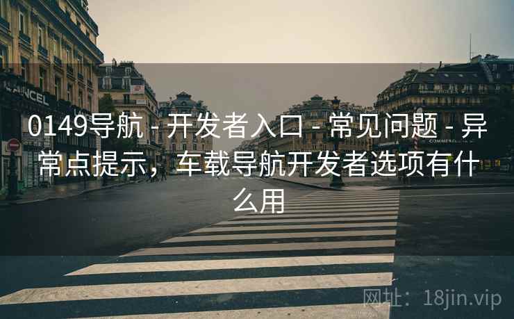0149导航 - 开发者入口 - 常见问题 - 异常点提示,车载导航开发者选项有什么用 0149导航 - 开发者入口 - 常见问题 - 异常点提示,车载导航开发者选项有什么用